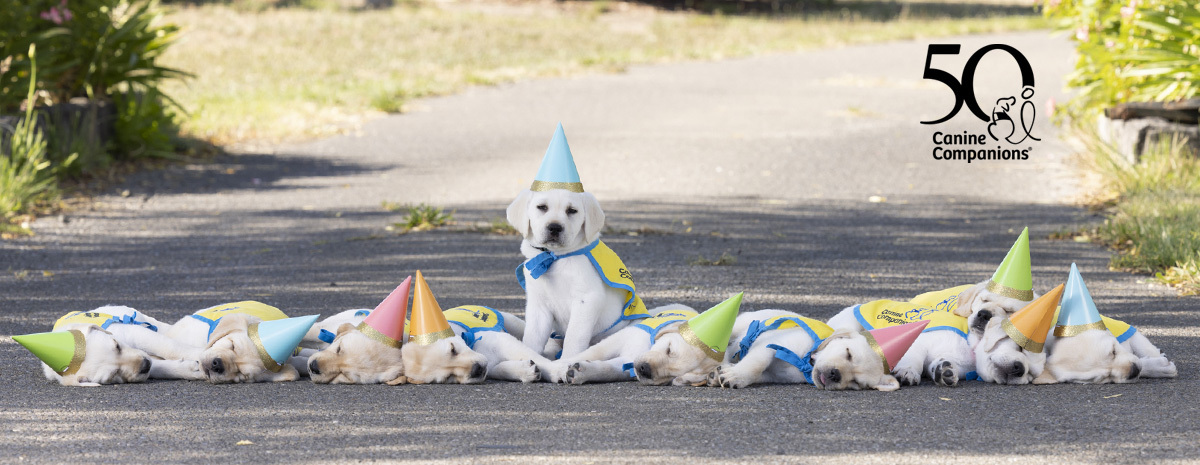 Celebrating 50 Years of Service: GFWC & Canine Companions